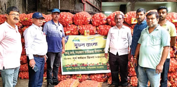 আলু কেনা শুরু রাজ্যের, স্বস্তি
