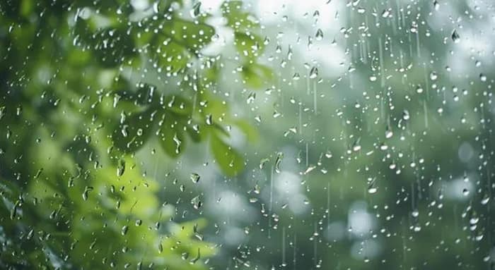 দক্ষিণবঙ্গের বিভিন্ন জেলায়  ঝোড়ো হাওয়া সহ বৃষ্টিপাত,