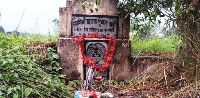 গাছ থেকে ঝরে রক্তলাল তরলের ধারা, নিশুতি রাতে পুজো শুরু ডাকিনী-যোগিনীর