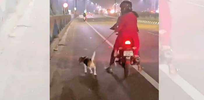 বাইকের সঙ্গে কুকুর ছুটিয়ে বিতর্কে দম্পতি