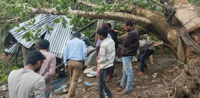 প্রচণ্ড ঝড়, দোকানের উপর পড়ল বটগাছ, যুবকের মৃত্যু