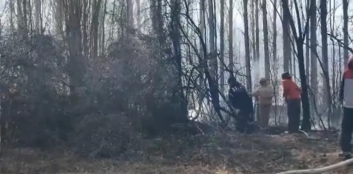 লাদাখের লেহ-র থিকসে গ্রামে এক ভয়াবহ অগ্নিকাণ্ডে বিধ্বস্ত জমি এবং হাজার হাজার গাছ