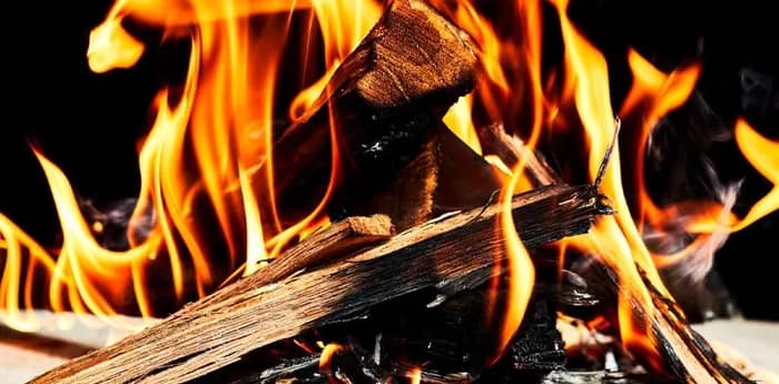 রান্নার গ্যাস পেল না সরদারপাড়া, জঙ্গলে কাঠ কুড়িয়েই দিন গুজরান, কত ভোট এল-গেল, এখনো হতাশা পেট্রাপোলে