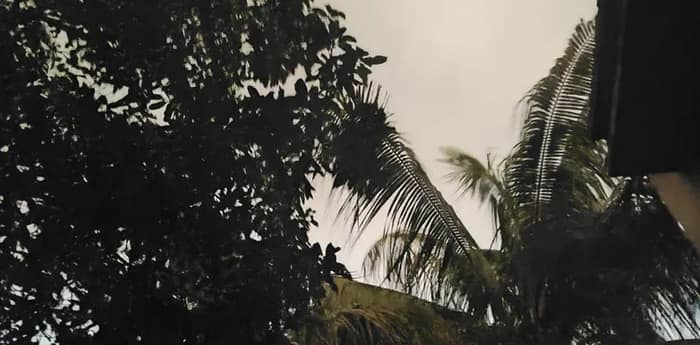 বাঁকুড়া, ঝাড়গ্রাম এবং পশ্চিম মেদিনীপুর জেলায় ঝড়-বৃষ্টির কমলা সতর্কতা