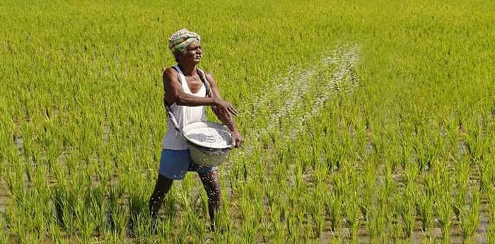 রাজ্যে এক কোটি ১৪ লক্ষ চাষিকে কৃষকবন্ধুর সুবিধা, মোদি-শাহের ‘কুম্ভীরাশ্রু’‌ই সার
