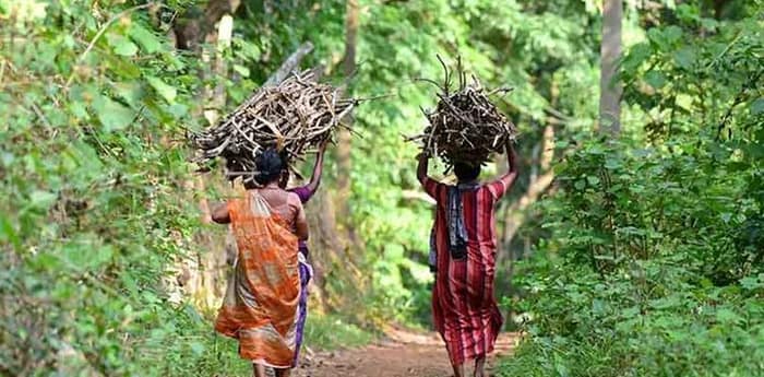 জঙ্গলের কাঠ কুড়িয়ে রান্না করে ক্ষোভে ফুঁসছেন দুঃস্থ মহিলারা