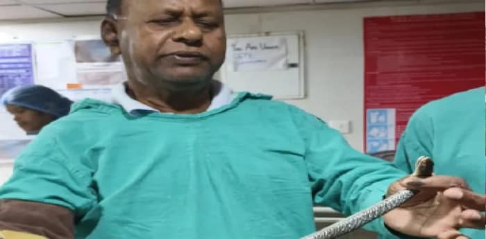 ফালাকাটা সুপার স্পেশালিটির ওটি থেকে সাপ উদ্ধার