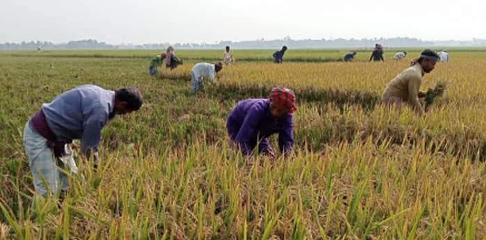 ঝাড়গ্রামে প্রধানমন্ত্রী ধনধান্য কৃষি যোজনা চালু, প্রশাসনিক তৎপরতা