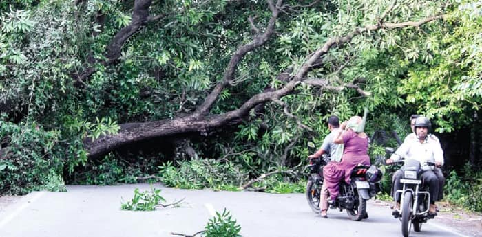 ঝড়ের তাণ্ডবে লণ্ডভণ্ড উত্তরপ্রদেশ, মৃত ১০০, ধূলিসাৎ ৮৭ বাড়ি