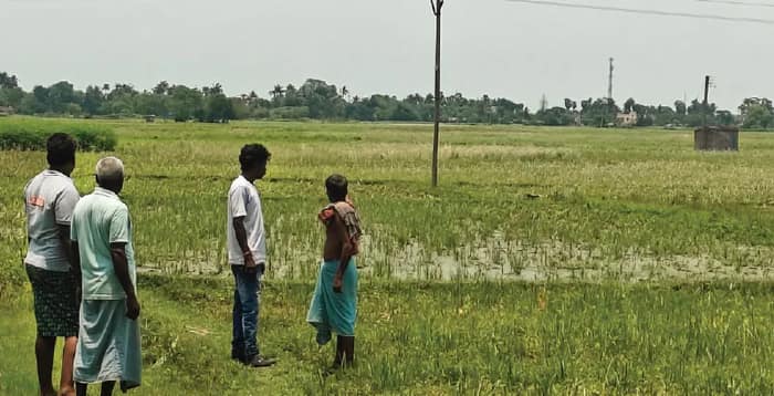 পঞ্চায়েত নির্বাচনে বিজেপির জয়, তিন  বছর ধরেই ১০০ বিঘা জমিতে বন্ধ জল, সমবায়ের বিরুদ্ধে অভিযোগ, তারকেশ্বরের চাকদহ গ্রামে বিতর্ক