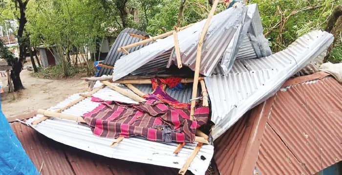 উপড়ে পড়েছে গাছ-খুঁটি, বিদ্যুৎহীন বিস্তীর্ণ এলাকা, কালবৈশাখী ঝড়ে লণ্ডভণ্ড তপন