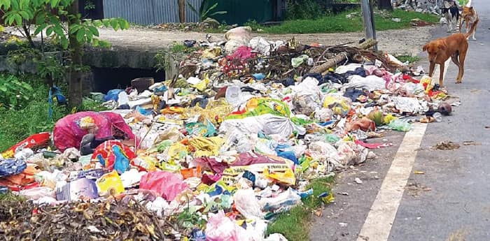 আলিপুরদুয়ার ও ফালাকাটা: সরকার বদল হতেই পুরভবনে গরহাজির কাউন্সিলাররা, হোঁচট খাচ্ছে পরিষেবা