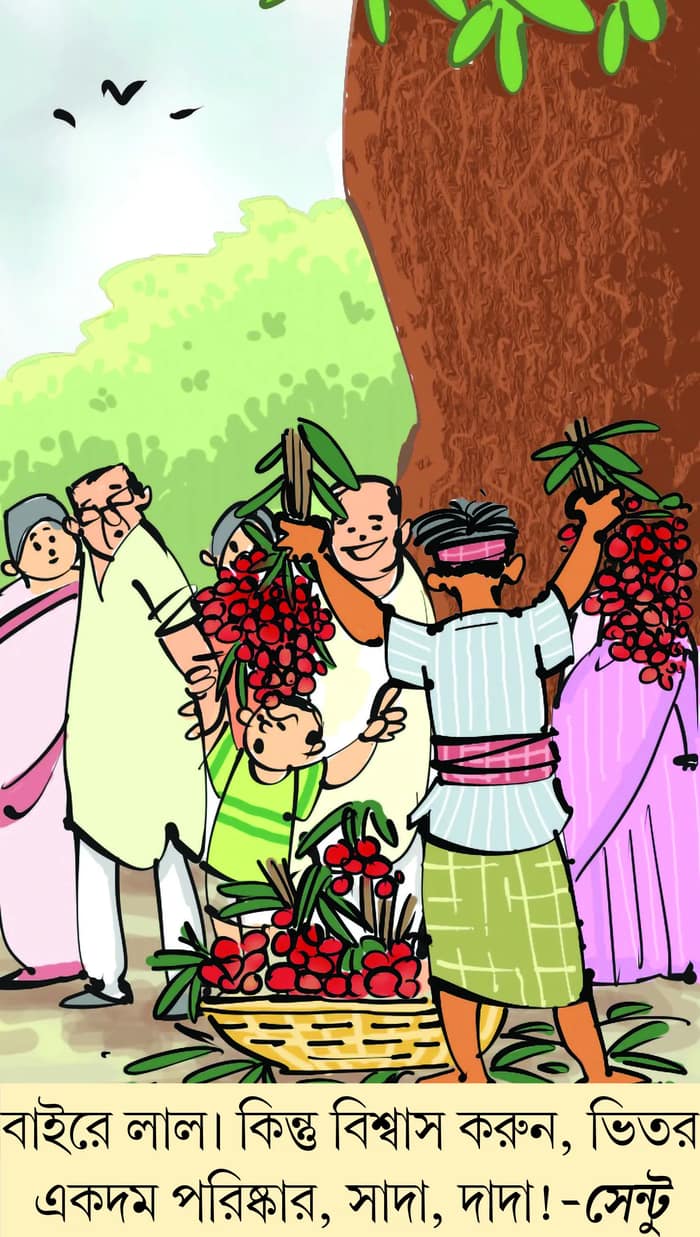 মজারু