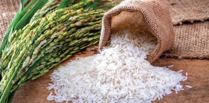 ইন্দো-ইতালি দৌত্যে বাংলার গোবিন্দ ভোগ , সৌজন্যে প্রধানমন্ত্রী নরেন্দ্র মোদি