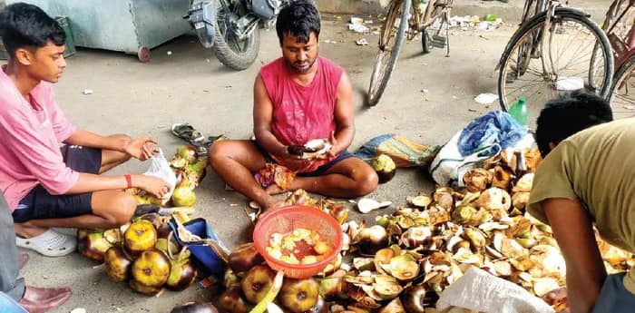 প্রচণ্ড গরমে শরীর ঠান্ডা রাখতে তালের শাঁসে বুঁদ কৃষ্ণনগরবাসী