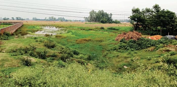 রায়গঞ্জেই এইমস চাই, জোরাল দাবি উঠছে জেলার বিভিন্ন মহলে