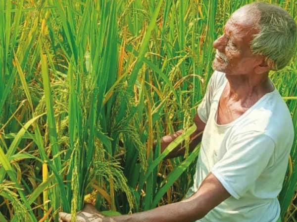 মোদি বিরোধিতার রণকৌশল ঠিক করতে বৈঠকে কৃষক সংগঠনগুলি
