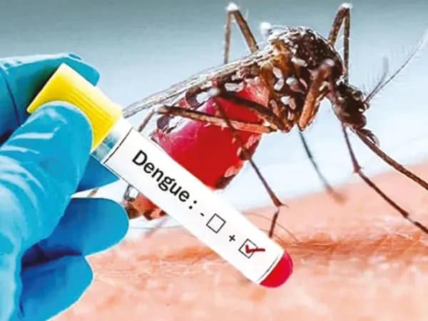 শীতেও ডেঙ্গুর থাবা, আক্রান্ত ২৩৭০, উদ্বেগ