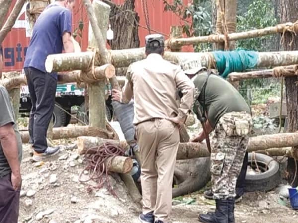 বাগডোগরা বনাঞ্চল ঘেঁষা এলাকায় গবাদিপশুর রক্ত সংগ্রহ বনদপ্তরের