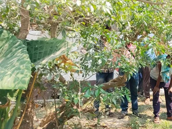 বোলপুর থানার বাঁধগোড়ায় একটি ব্যাগ ঘিরে চাঞ্চল্য, তদন্তে পুলিস