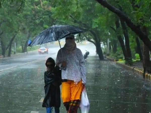 দক্ষিণবঙ্গে ঝাঁ ঝাঁ রোদ, সকাল থেকে বৃষ্টি শুরু জলপাইগুড়িতে