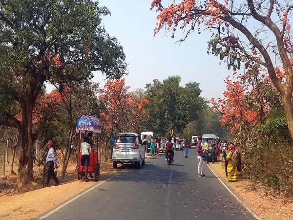পলাশের রঙে রাঙাতে পর্যটকরা পুরুলিয়ামুখী