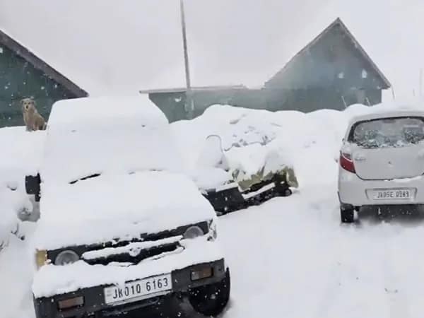 ফের জম্মু ও কাশ্মীরে তুষারপাত, সাদা বরফের চাদরে ঢাকল গুলমার্গ