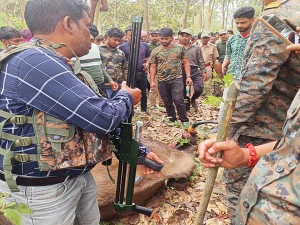 কোচবিহারে বাইসনকে ঘুমপাড়ানি গুলি