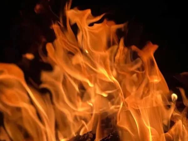 তিনদিন ধরে দাউ দাউ করে জ্বলছে আউশগ্রামের জঙ্গল