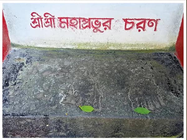 চৈতন্য ও মধু নাপিত