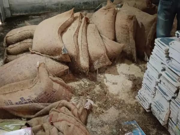 মিড ডে মিলে পুরনো চালের ভাত খাওয়ানোর অভিযোগ, মুখে কুলুপ প্রধান শিক্ষকের