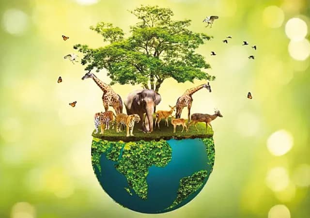 স্বাস্থ্যের নতুন ধারণা ওয়ান হেলথ