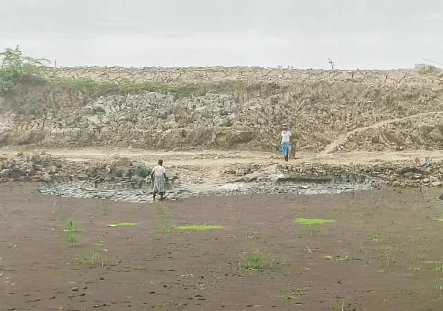 বসিরহাটে ইটের ব্যাপক চাহিদা, চলছে মাটি মাফিয়াদের দৌরাত্ম্য