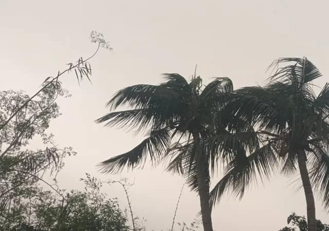 শহরের আবহাওয়া কেমন থাকবে আজ, জানাল আলিপুর আবহাওয়া দপ্তর