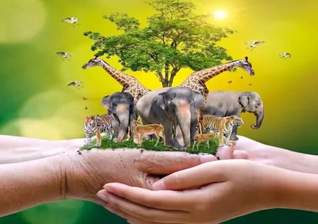 আসানসোলে বন্যপ্রাণ রক্ষায় মাইক হাতে রাস্তায় কোর্টের বিচারক