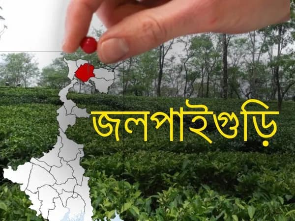 বিএসকেতে ফাঁকিবাজির প্রমাণ মিললে বন্ধ হবে কর্মীদের বেতন: জেলাশাসক