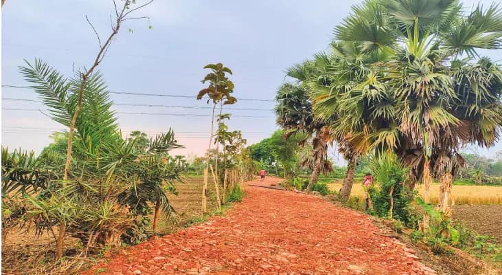 সভাধিপতির এলাকাতেই খারাপ মানের কাজের অভিযোগ, শোরগোল কালীগঞ্জে