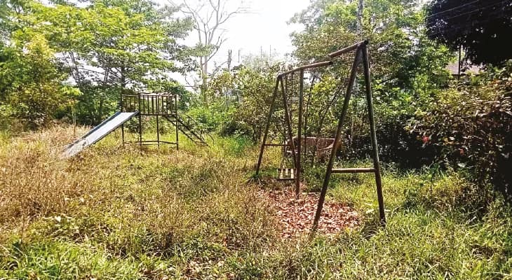 বারুইপুর ব্লক অফিসের সামনে বিধান শিশু উদ্যান ভরেছে জঙ্গলে, অসন্তোষ