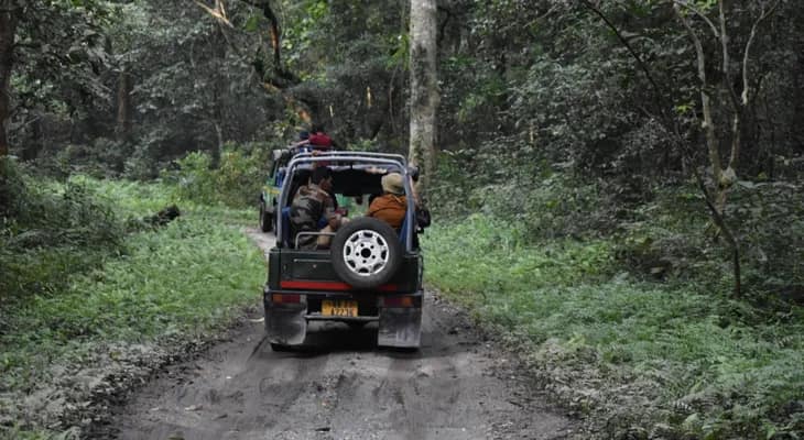জলদাপাড়ার অরণ্যে হাতি এবং জিপসি সাফারিতে অনলাইন বুকিং চালুর দাবি