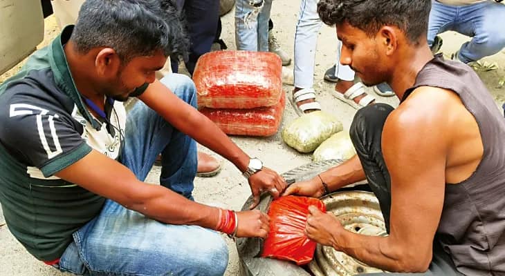 আনারসভর্তি গাড়ি থেকে প্রায় ২১ কেজি গাঁজা উদ্ধার, ধৃত দুই