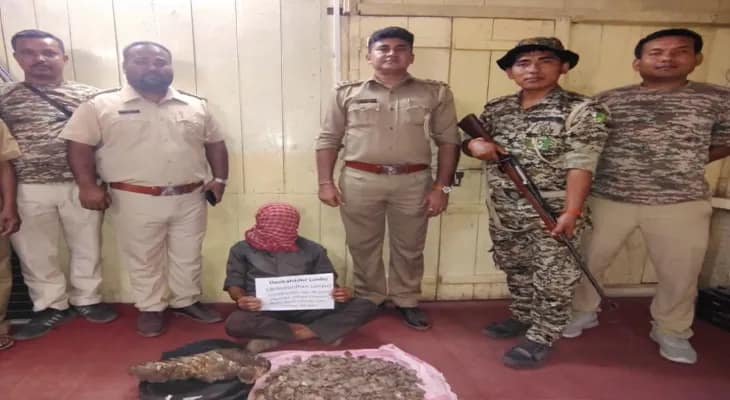 আলিপুরদুয়ারে প্যাঙ্গোলিনের আঁশসহ পাকড়াও ভুটানের নাগরিক