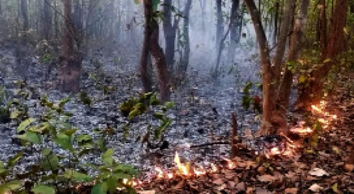 বাঁকুড়ার ‘আমাজন’ সুতানের জঙ্গলে ফের আগুন, চাঞ্চল্য