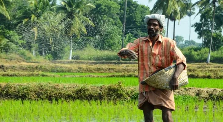 চাপড়ার হৃদয়পুর পঞ্চায়েতে সমস্যায় চাষিরা, নিয়মে শিথিলতা আনতে চিঠি