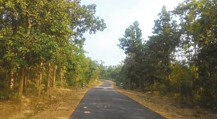 ঝাড়খণ্ড থেকে বাংলায় বালি পাচারের নয়া করিডর জামবনী ব্লকের জঙ্গলপথ