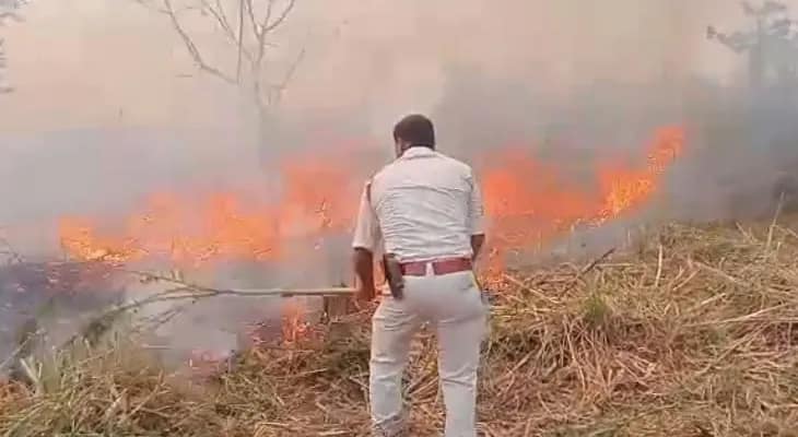 গোরুমারা বন্য বিভাগের এলাকায় জঙ্গলে আগুন!