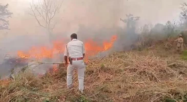 গোরুমারার জঙ্গলে শুকনো ঘাসে আগুন, ৪ ঘণ্টার চেষ্টায় নিয়ন্ত্রণে