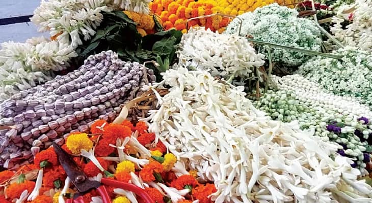 উৎপাদন ভালো, এবার বাসন্তী ও অন্নপূর্ণা পুজোয় ফুলের দাম রইল নাগালের মধ্যেই