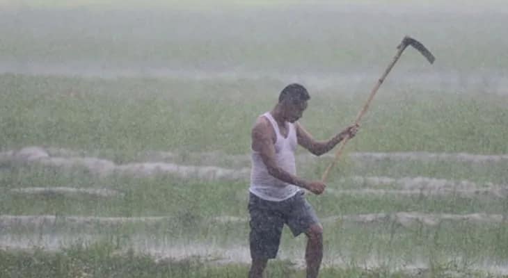 শীঘ্রই শস্যবিমার টাকা পাবেন কৃষকরা, খরিফ মরশুমের প্রস্তুতি শুরু নবান্নের