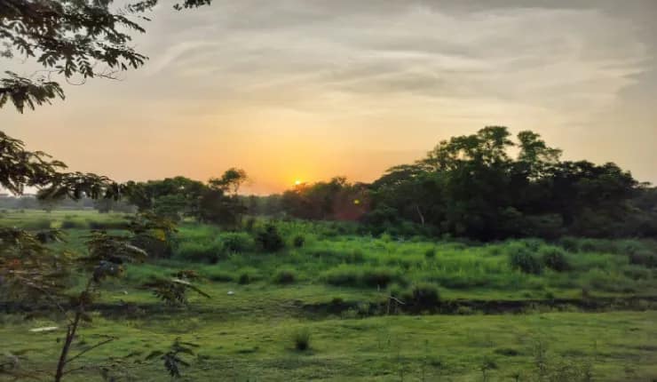 নদীর তীরে বন্যপ্রাণের আশ্রয় হিসেবে বনাঞ্চল তৈরির পরিকল্পনা বাগনানে, উদ্যোগ হাওড়া জেলা পরিষদের
