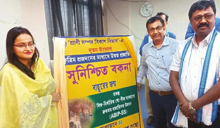 দুধ উৎপাদন বাড়াতে বকনা বাছুর প্রজননের উদ্যোগ